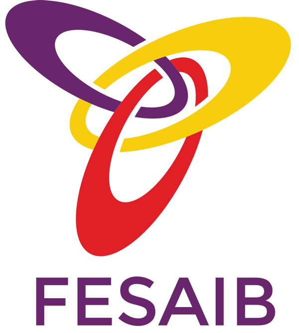 Federaci&oacute; d'Esports Adaptats de les Illes Balears