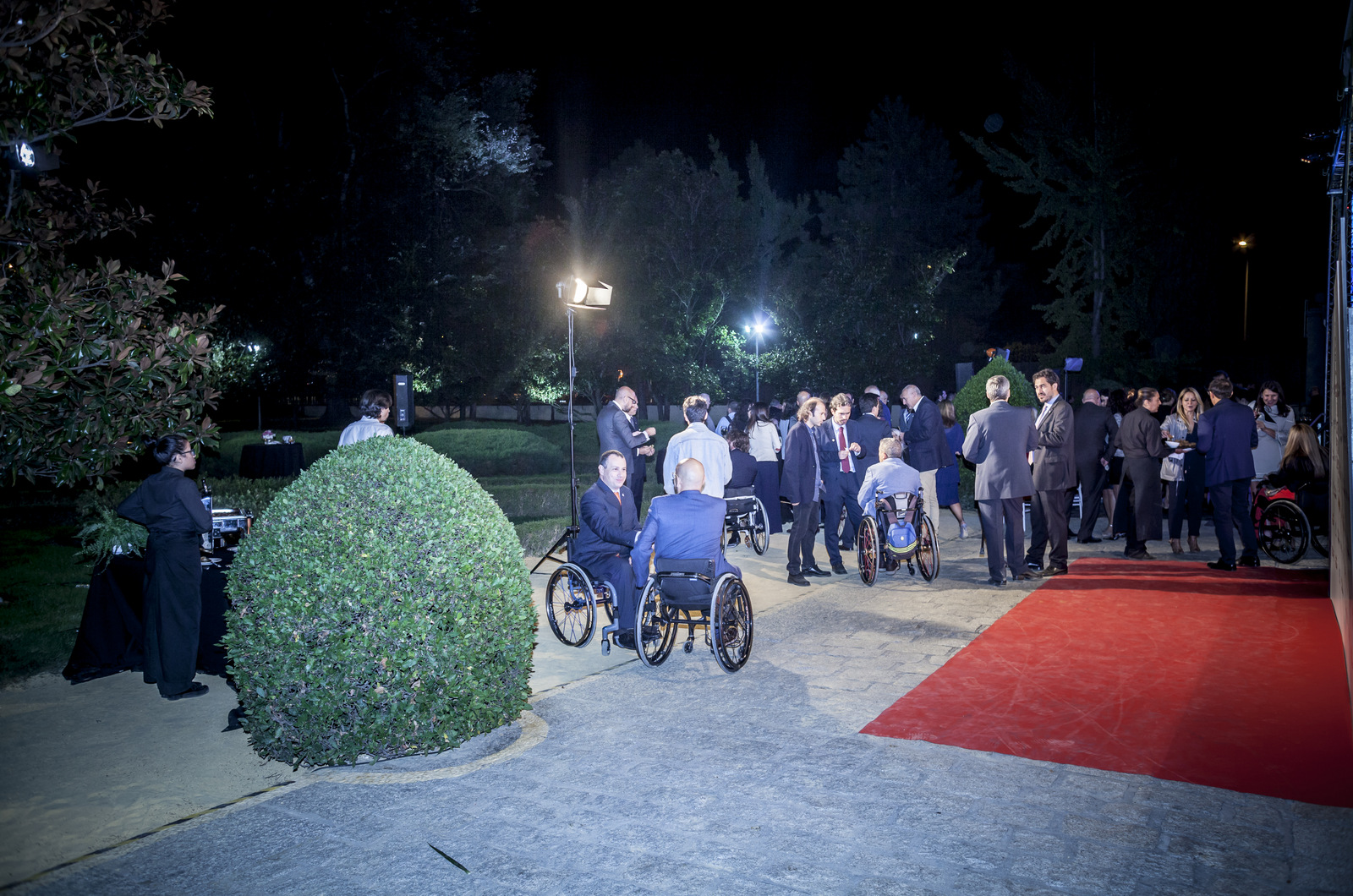 Gala 50 aniversario FEDDF
