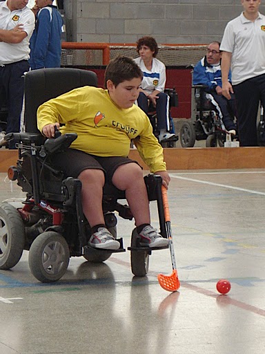 CURSO DE ACTIVIDADES F&Iacute;SICAS INCLUSIVAS
