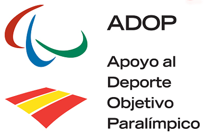 UN ENCUENTRO DE EXPERTOS DESTACA EL PAPEL DE LAS NUEVAS TECNOLOG&Iacute;AS EN LA MEJORA DEL NIVEL COMPETITIVO DE LOS DEPORTISTAS PARAL&Iacute;MPICOS
