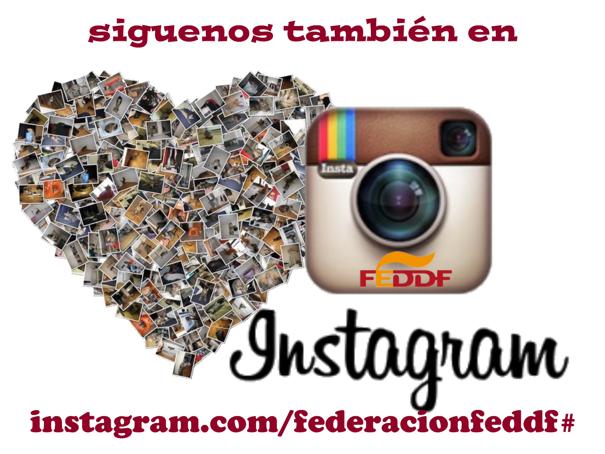 INSTAGRAM Y GOOGLE + SE UNEN A LOS SOPORTES DE DIFUSI&Oacute;N QUE ACTUALMENTE DISPONE LA FEDERACI&Oacute;N ESPA&Ntilde;OLA DE DEPORTES DE PERSONAS CON DISCAPACIDAD F&Iacute;SICA.