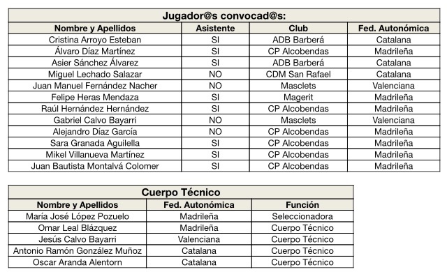 CONVOCATORIA LISTA DE PRE SELECCIONADOS - EQUIPO NACIONAL DE H&Oacute;CKEY EN SILLA DE RUEDAS EL&Eacute;CTRICA, 5 AL 8 DE DICIEMBRE EN ALCOBENDAS.