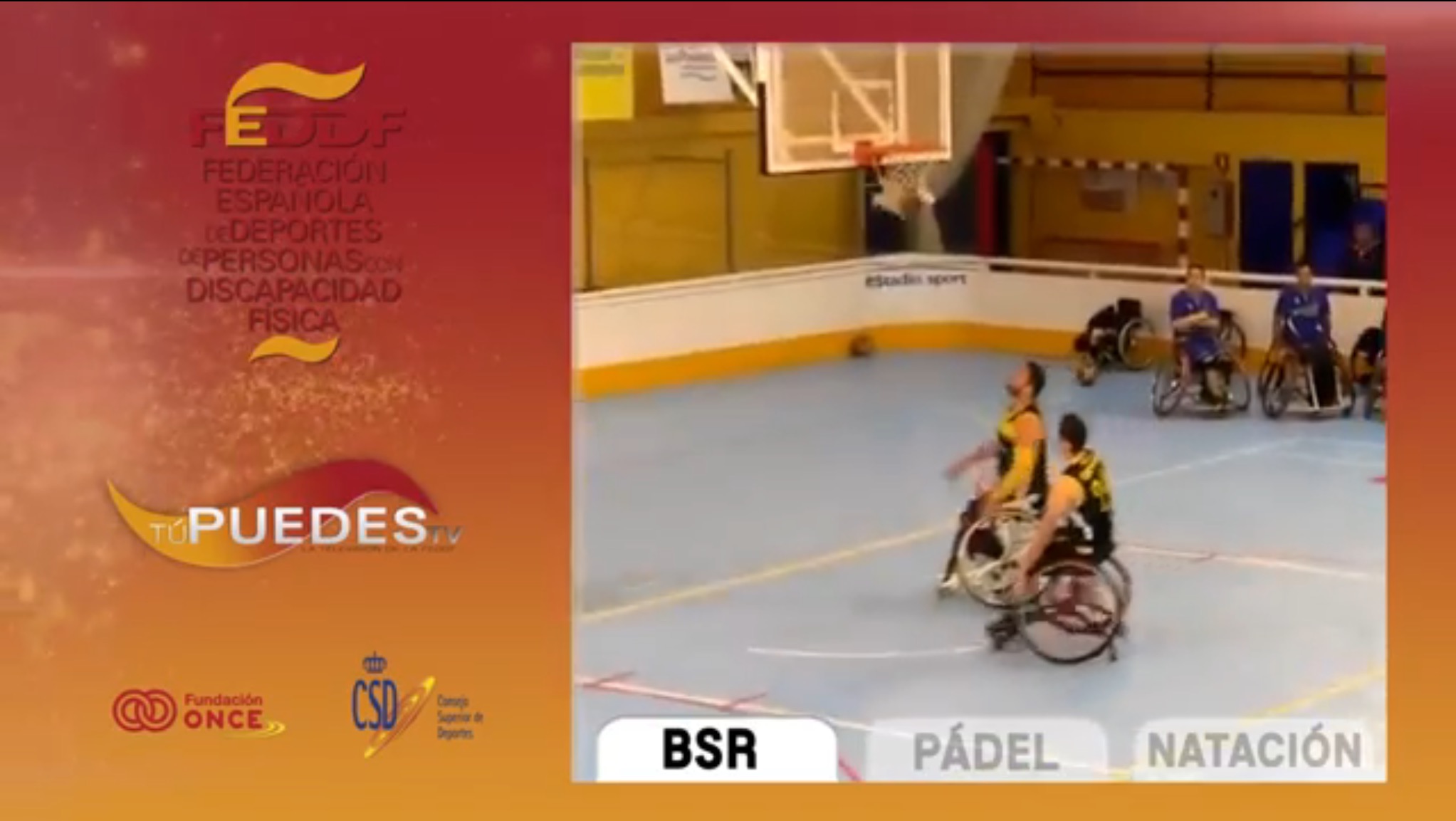 Nataci&oacute;n, Baloncesto S.R. y Padel S.R. son los grandes protagonistas del Magazine 71 TuPuedesTV
