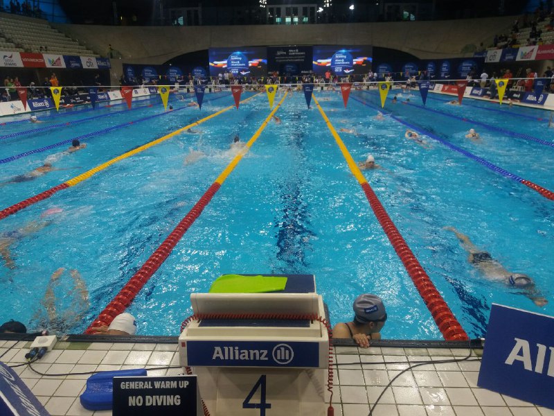 Primera jornada del Campeonato del Mundo de Nataci&oacute;n Adaptada.
