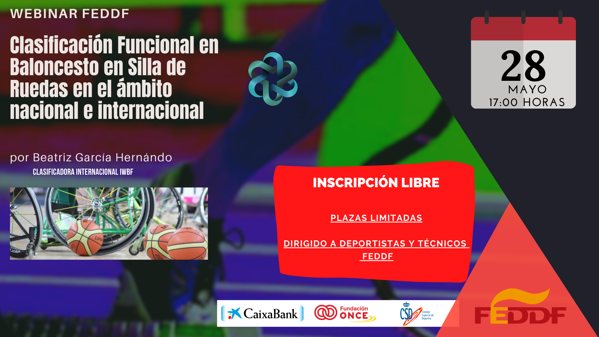 Presentamos la formaci&oacute;n &ldquo;Clasificaci&oacute;n Funcional en Baloncesto en Silla de Ruedas en el &aacute;mbito nacional e internacional&rdquo; ( 28 de mayo a las 17:00 horas )