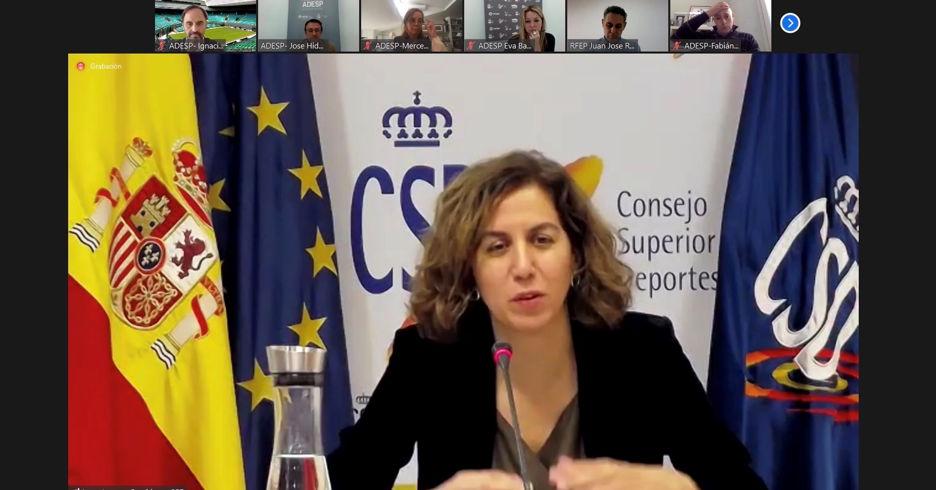 Irene Lozano expone las l&iacute;neas de colaboraci&oacute;n con las Federaciones Deportivas Espa&ntilde;oles