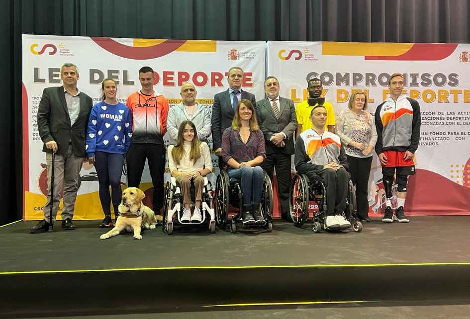 El CPE urge al CSD y los partidos pol&iacute;ticos a cambiar el art&iacute;culo 49 de la Constituci&oacute;n